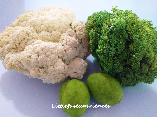 Littlefas experiences brocolis bichinhos