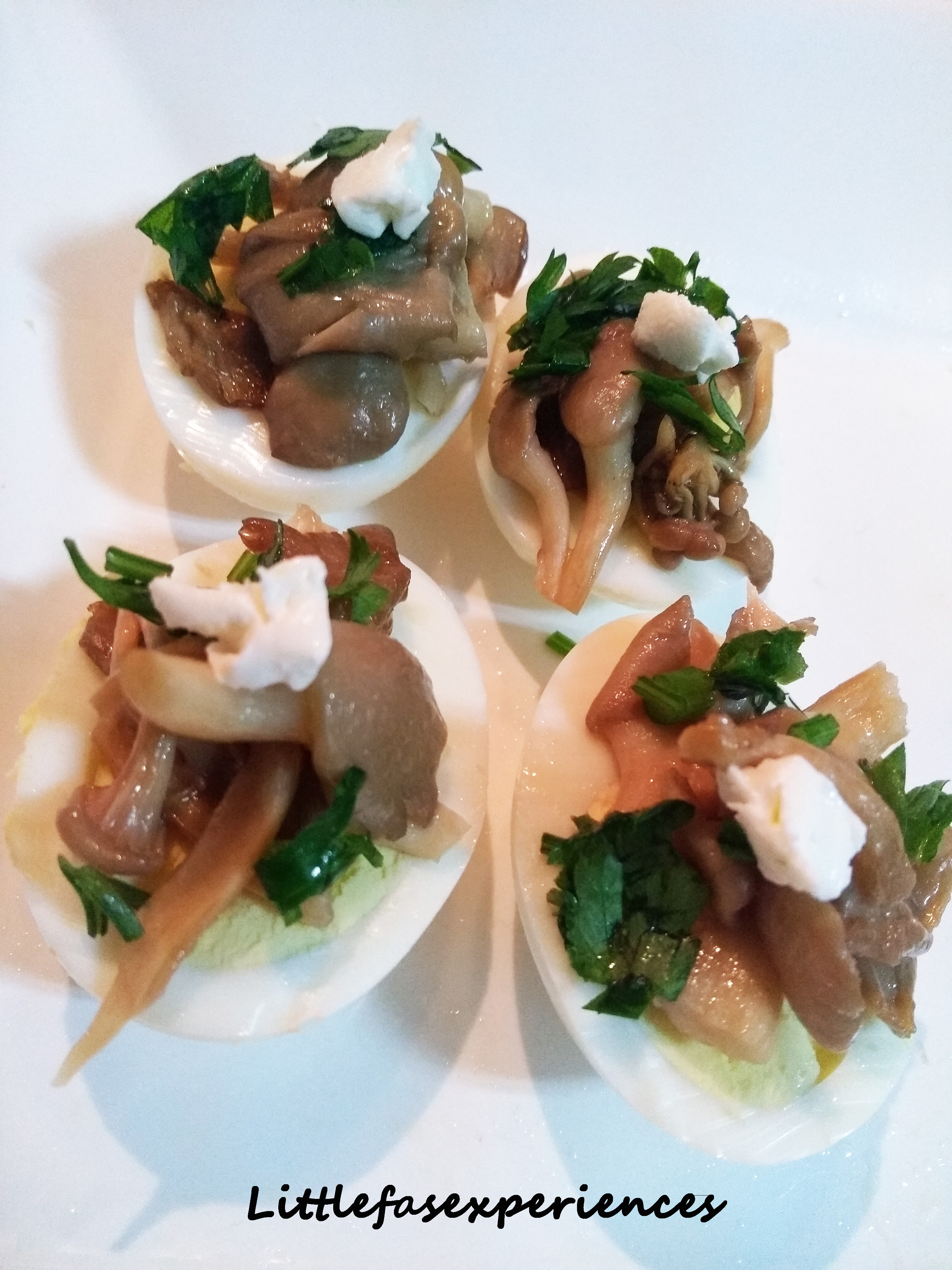 ovo com shimeji lowcarb littlefasexperiences