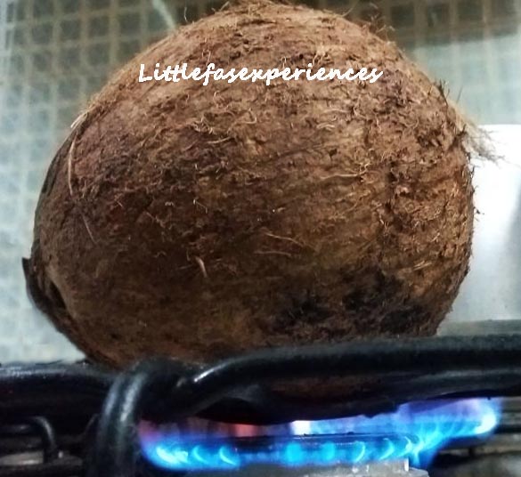 coco seco littlefasexperiences 1