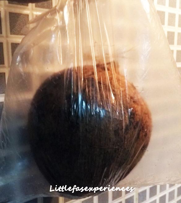 coco seco littlefasexperiences