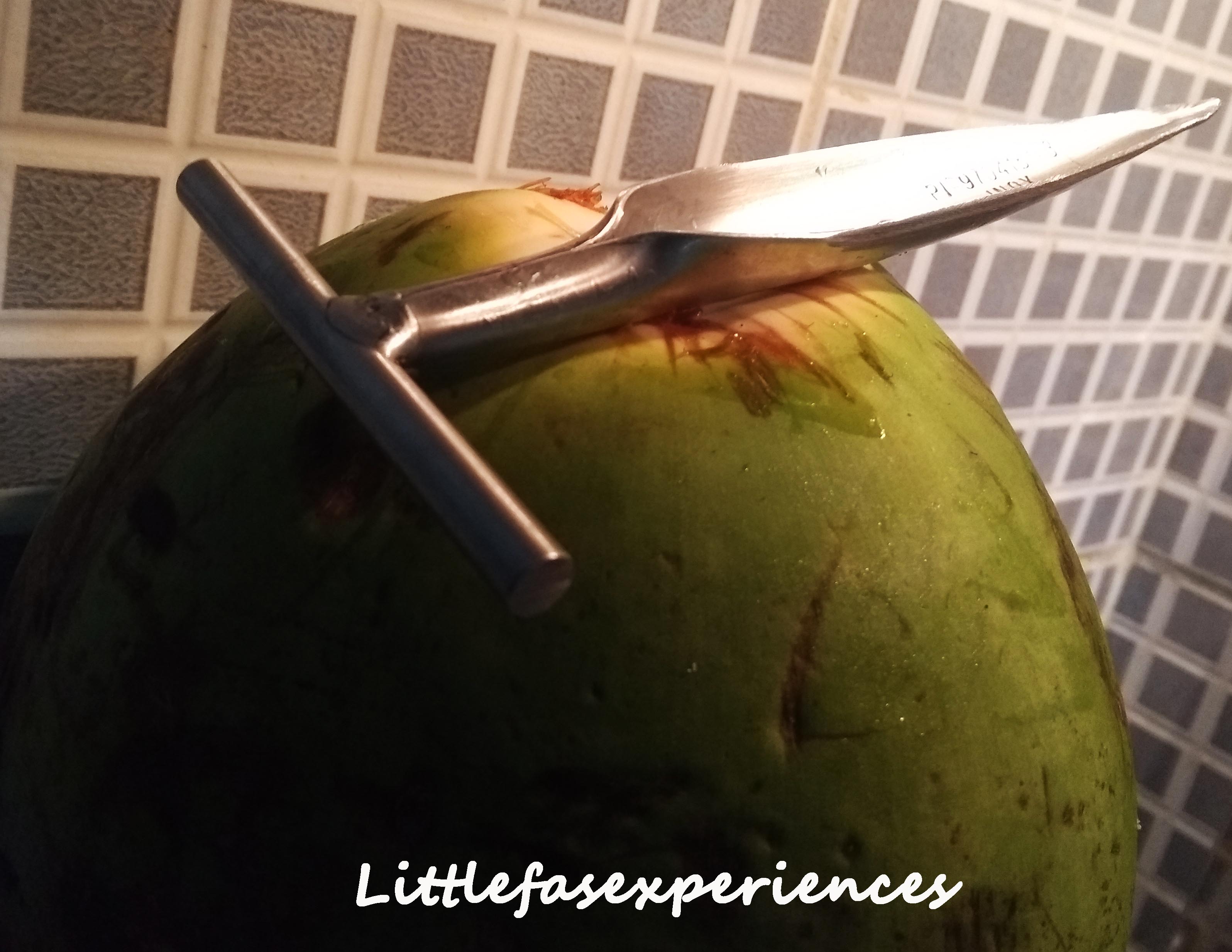 coco verde littlefasexperiences