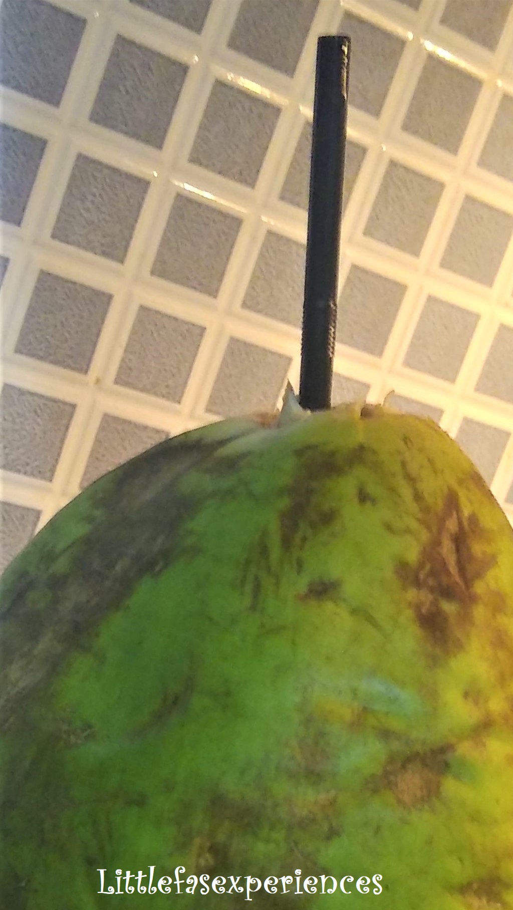 Agua de coco Littlefasexperiences