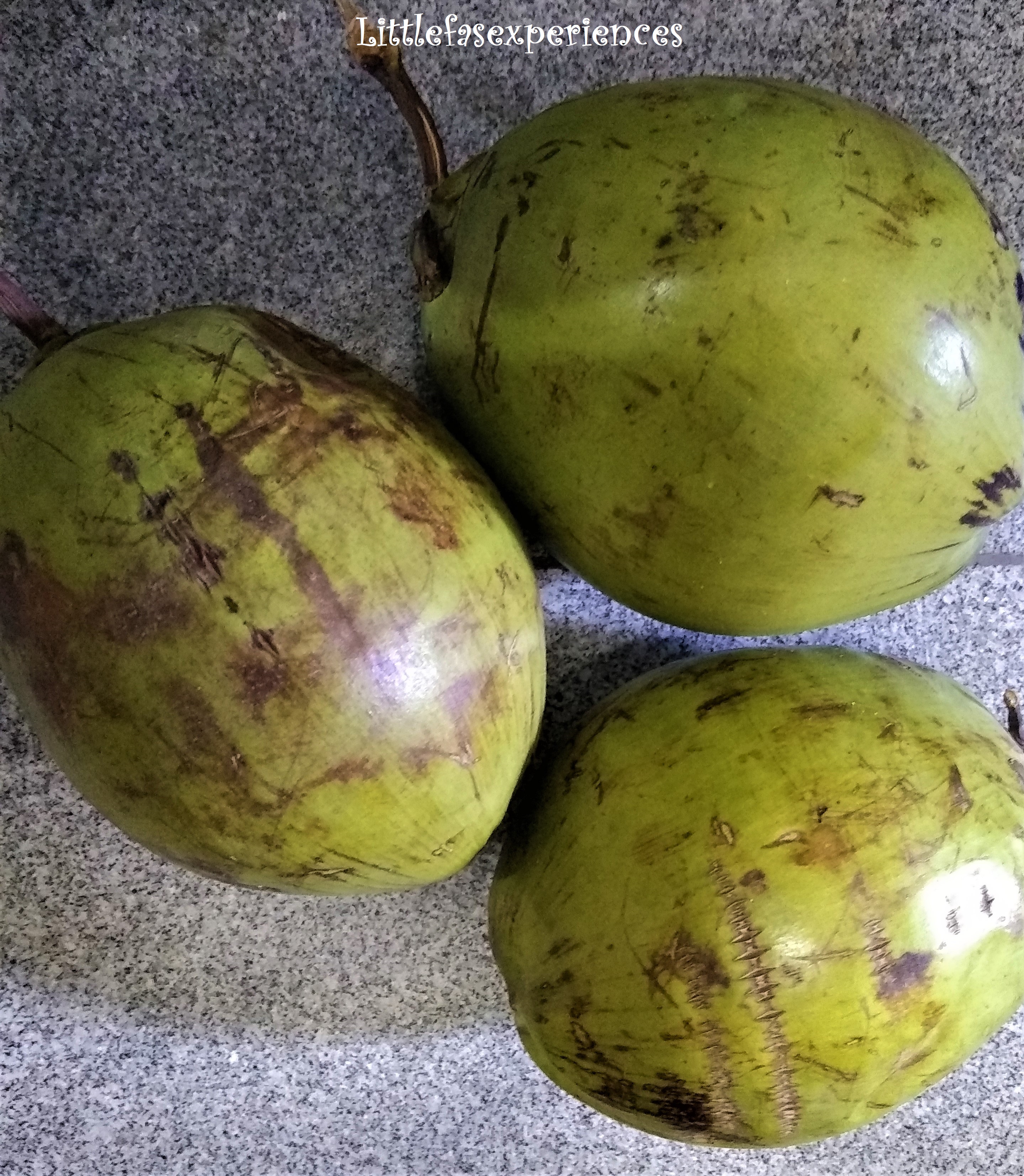 Coco verde Littlefasexperiences