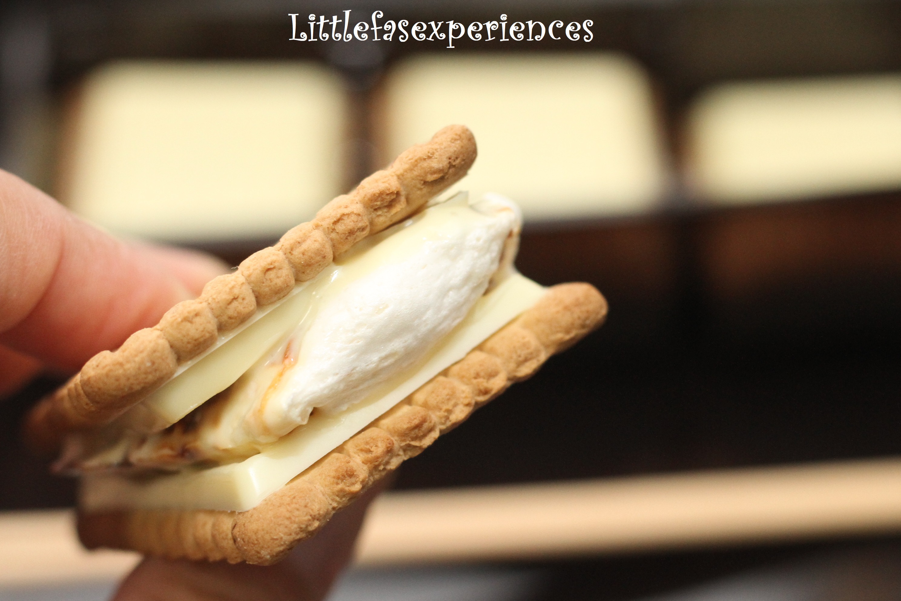 S`mores Littlefasexperiences