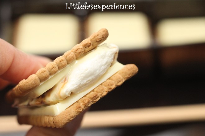 S`mores Littlefasexperiences
